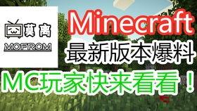 新闻爆料我的世界视频,Minecraft视频背后的真实故事  第1张