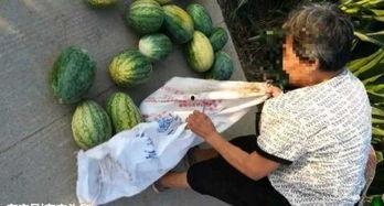 漳州吃瓜最新事件爆料,揭秘背后惊人真相 第2张 漳州吃瓜最新事件爆料,揭秘背后惊人真相 第2张